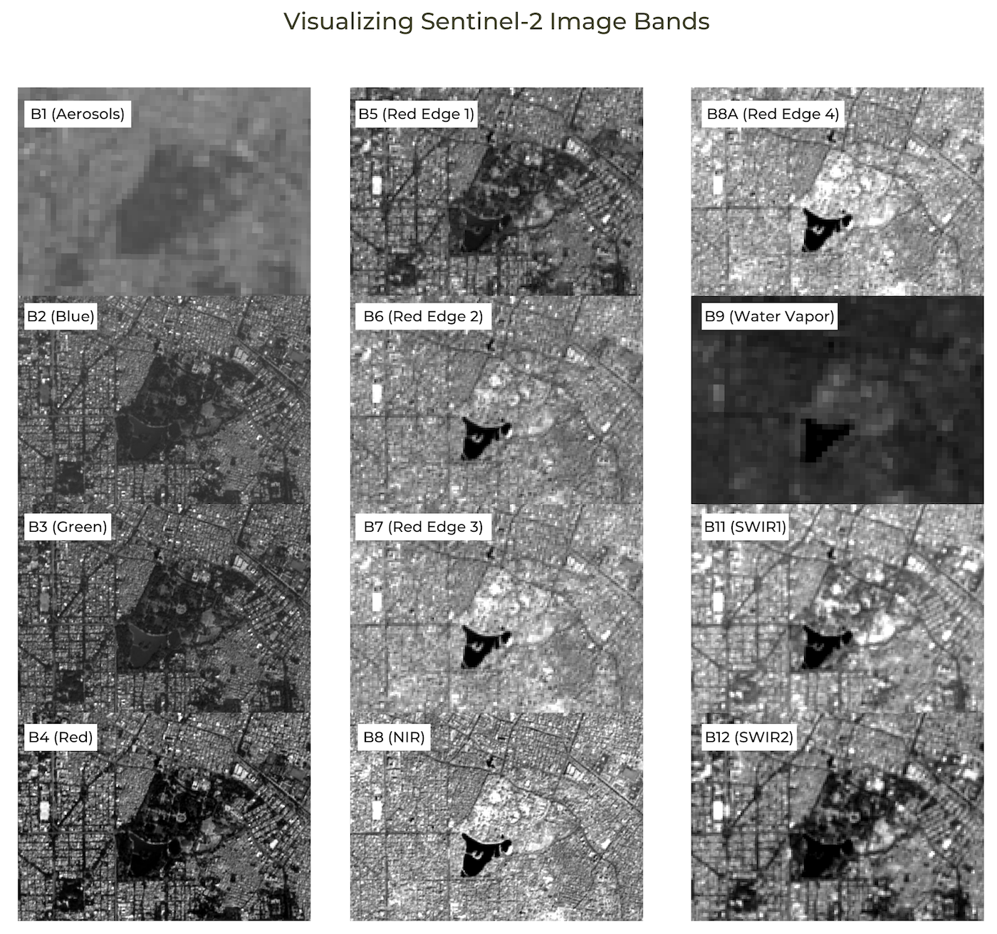 FilmStrip Visualization