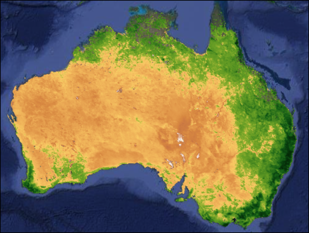 Visualized MODIS NDVI Image over Australia
